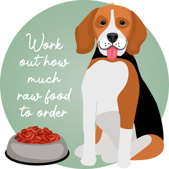The Slobbery Dog Raw Ltd