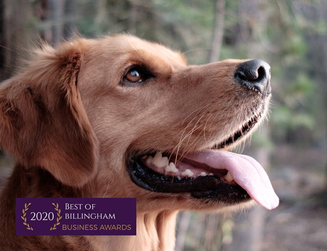 The Slobbery Dog Raw Ltd