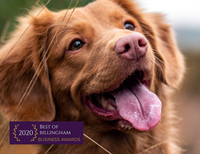 The Slobbery Dog Raw Ltd