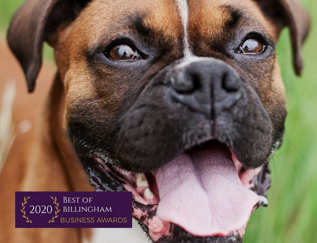 The Slobbery Dog Raw Ltd