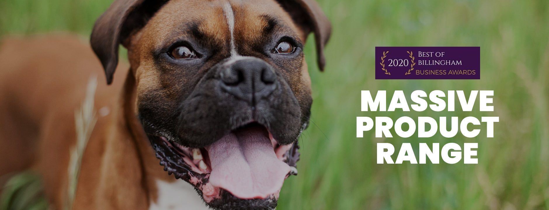 The Slobbery Dog Raw Ltd