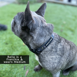 Paw-Struck Collar - S