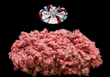 The Dogs Butcher - Purely Turkey Mince 80:10:10 1kg