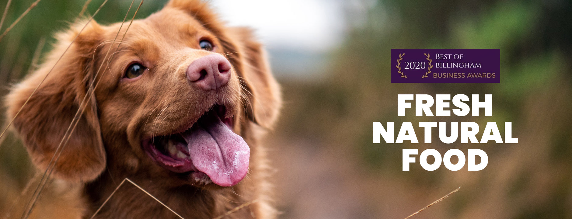 Raw Dog Food Teesside The Slobbery Dog Raw Ltd