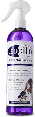 Leucillin Antiseptic Skincare 500ml
