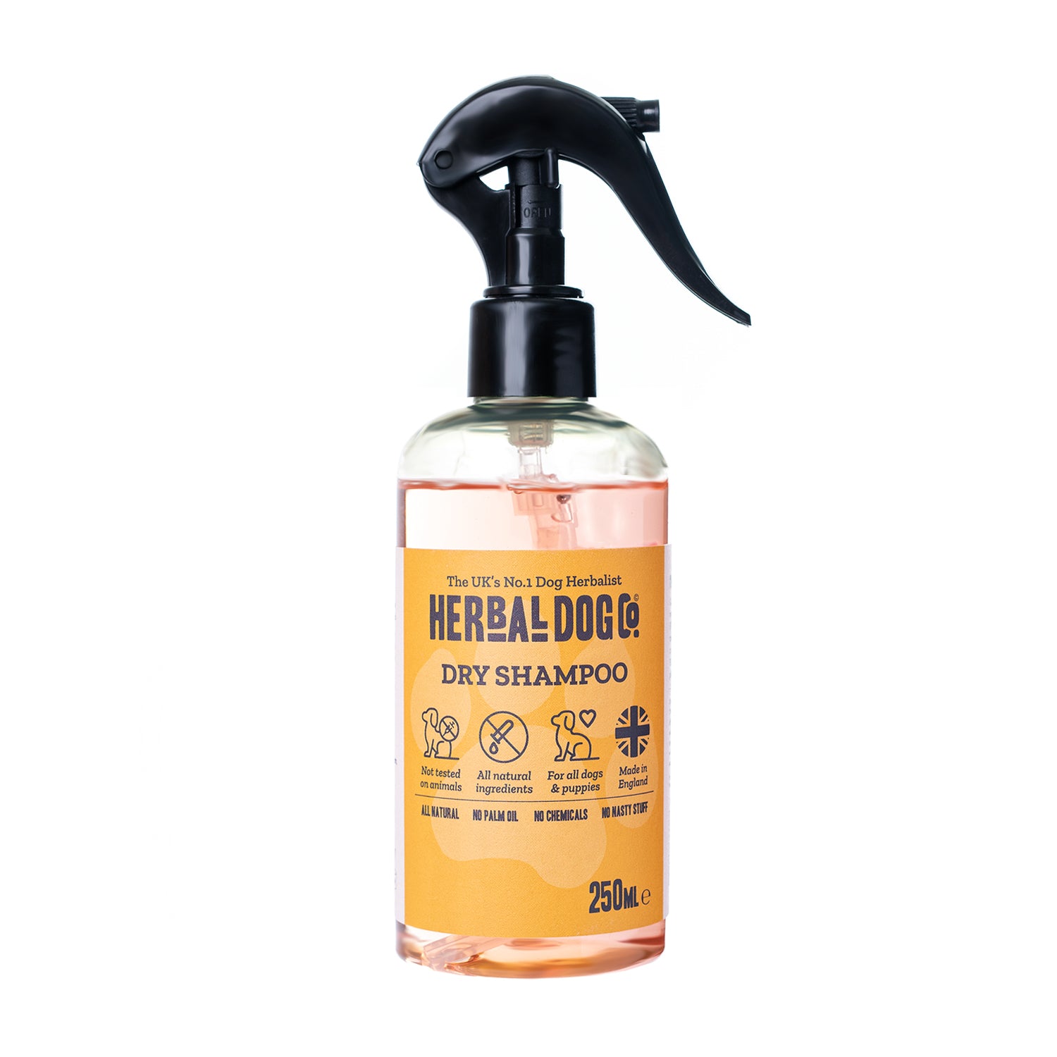 Raspberry & Vanilla Dry Shampoo Herbal D