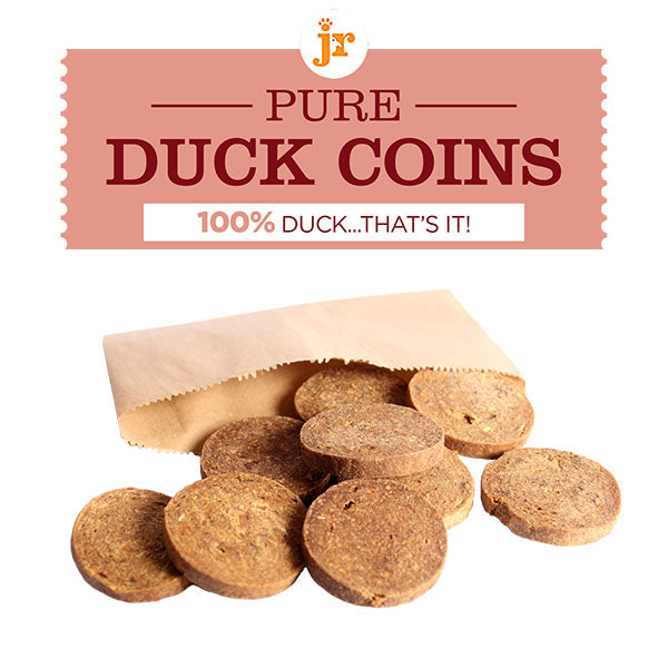 Duck Coins