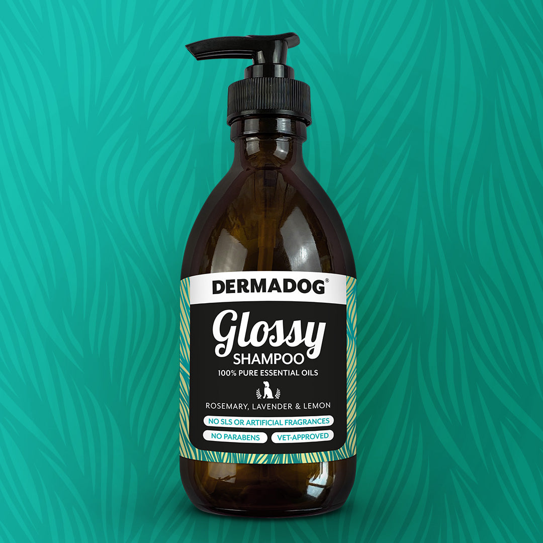 Glossy Shampoo 300ml