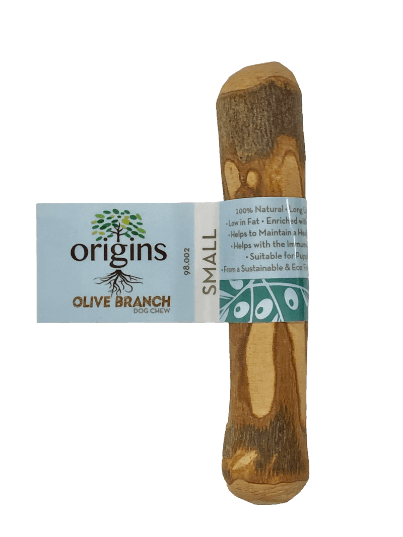 Origins Olive Wood Branch Small