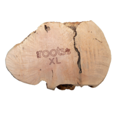 Anco Tree Root Chew X Large